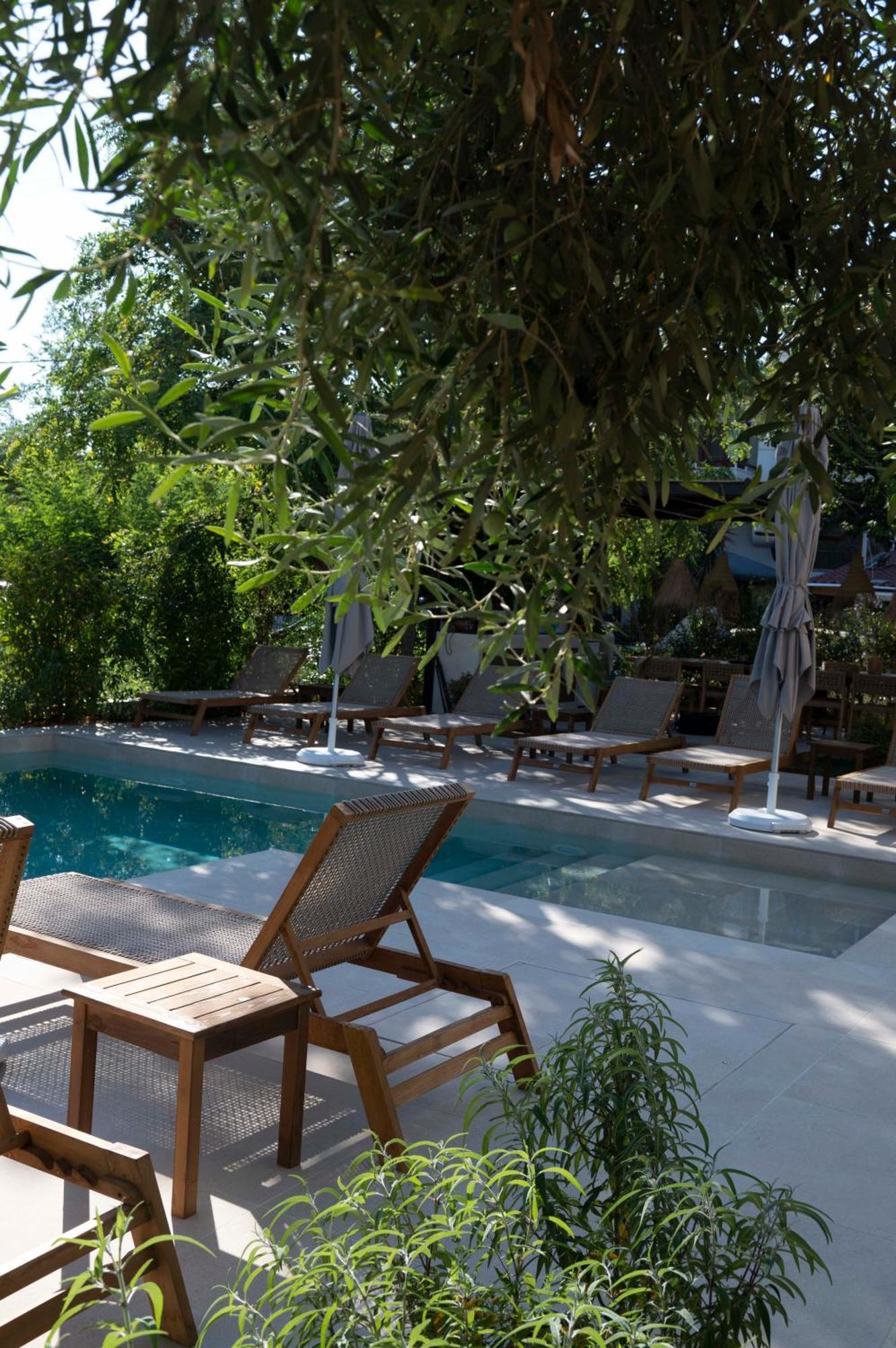 Apartment Maison - Elea Ierissos